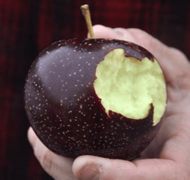 Bên cạnh việc sản xuất hạn chế, chi phí phân phối cao đã đưa táo kim cương đen vào phân khúc cao cấp của thị trường.