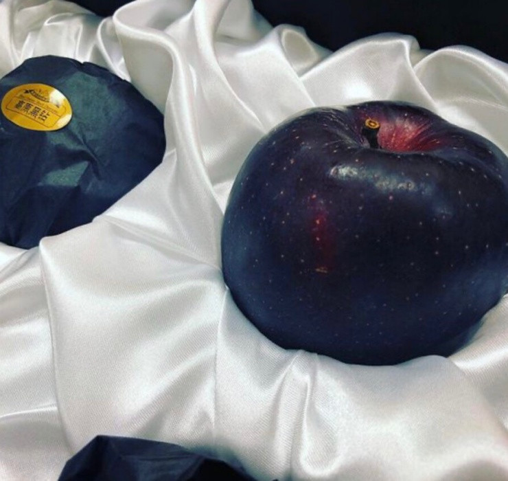 Tuy nhiên, táo đen có tốc độ tăng trưởng rất chậm. Thông thường, chúng mất 8 năm để trưởng thành.