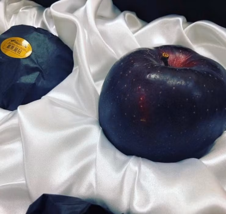 Tuy nhiên, táo đen có tốc độ tăng trưởng rất chậm. Thông thường, chúng mất 8 năm để trưởng thành.