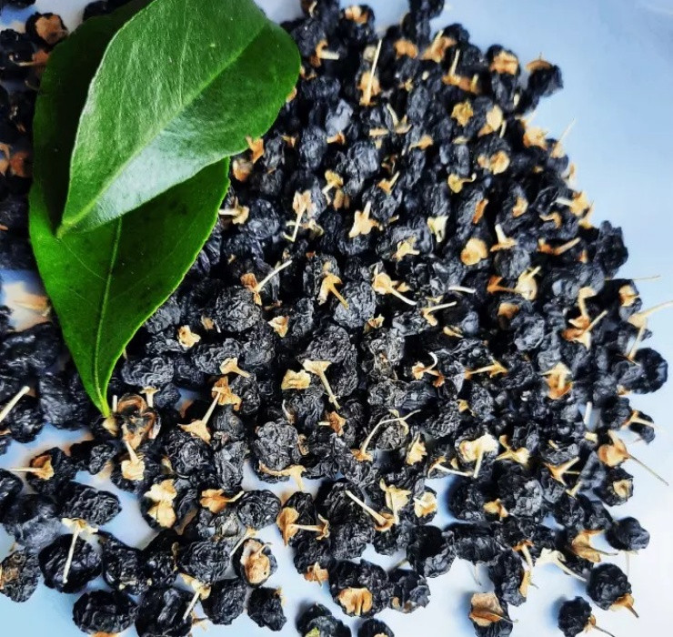 Người Việt đã quá quen với kỷ tử đỏ, nhưng kỷ tử đen lại vô cùng lạ lẫm. Kỷ tử đen còn gọi là hắc kỷ tử, đây là loại quả mọc hoang ở Tây Tạng.