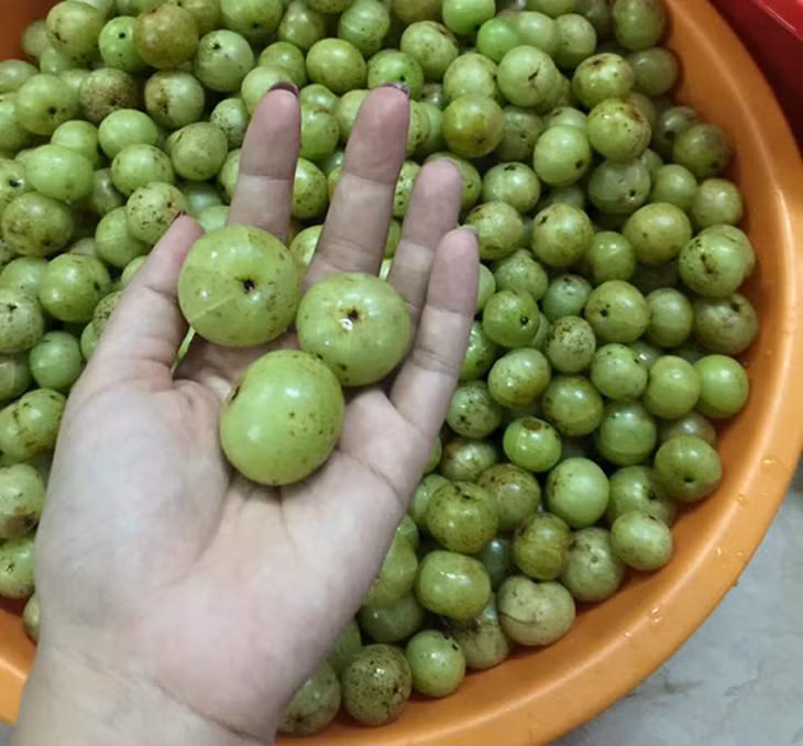 Thu moc dai o Viet Nam nay hai ban 200.000 dong/kg kiem tien nhanh gon-Hinh-3