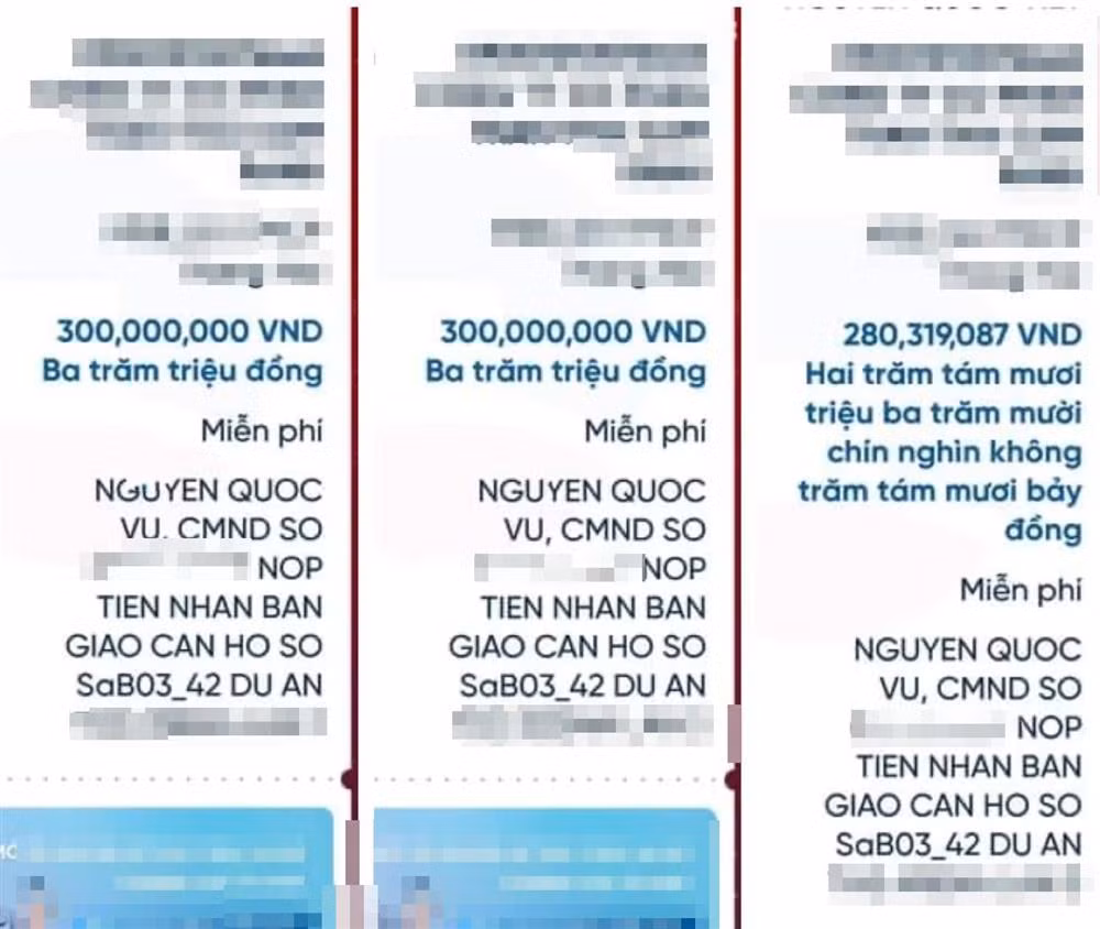 Doan Di Bang bi to 'noi phet' vu mua nha view bien Cam Ranh-Hinh-6