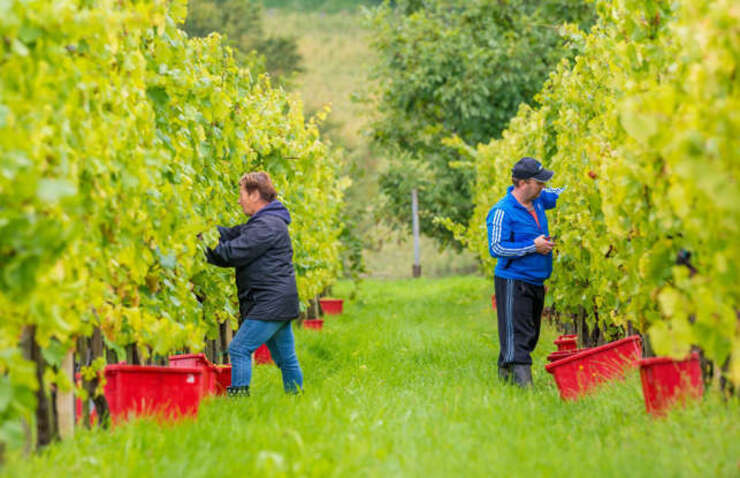 Quoc gia co gio lam viec dai nhat the gioi, moi ngay lam hon 10 tieng-Hinh-5