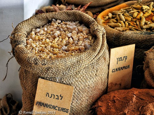 Các mặt hàng chính được vận chuyển trên con đường hương liệu Negev là nhũ hương, nhựa cây trám thơm và nhiều loại gia vị thời xưa. Ảnh: Ferrelljenkins.wordpress.com.