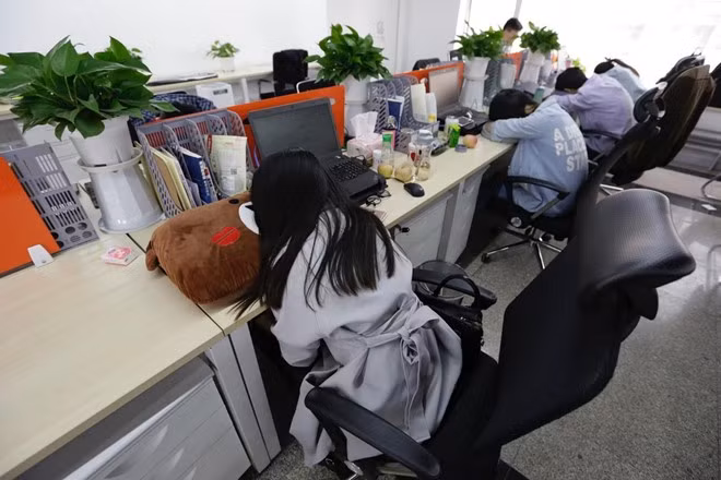 “Lập trình viên của các công ty công nghệ Trung Quốc phải làm thêm giờ hàng ngày. Họ chỉ ngủ một lát buổi trưa hoặc sau 21h để đảm bảo tiến độ. Thông thường, họ có thể ngủ trên ghế sofa, nhưng nhiều người quá mệt mỏi nên ngủ ngay tại bàn”, Cui nói và khẳng định, nhiều nhân viên còn sống cả tuần tại văn phòng.