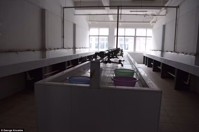 Tuy nhiên, đối tác của Apple cho rằng chỉ có tối đa 8 lao động sống trong phòng ngủ với đầy đủ thiết bị báo cháy, máy lạnh, nhà vệ sinh có nước nóng, dịch vụ an ninh, Wi-Fi miễn phí và dịch vụ giặt là 6 ngày/ tuần. Người đại diện còn hứa sẽ nỗ lực cải thiện điều kiện nơi ăn, chốn ở cũng như không để công nhân làm việc quá 60 giờ mỗi tuần.