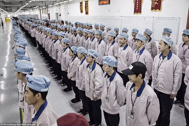 Ước tính Pegatron và Foxconn vẫn đang có 50.000 lao động làm việc trong chuỗi cung ứng của Apple. Điều kiện sống của người lao động trong ký túc xá Kangqiao không được quan tâm. Một điều tra viên 28 tuổi, người đã có 10 ngày lao động trong khu phức hợp này chia sẻ: "12 công nhân ở trong căn phòng chật chội không nhà vệ sinh, không nơi giặt giũ. Hàng trăm người phải xếp hàng đợi đến lượt sử dụng phòng tắm và nhà vệ sinh". Chính Pegatron cũng đã thừa nhận về những thiếu sót trong chính sách cho người lao động của họ.
