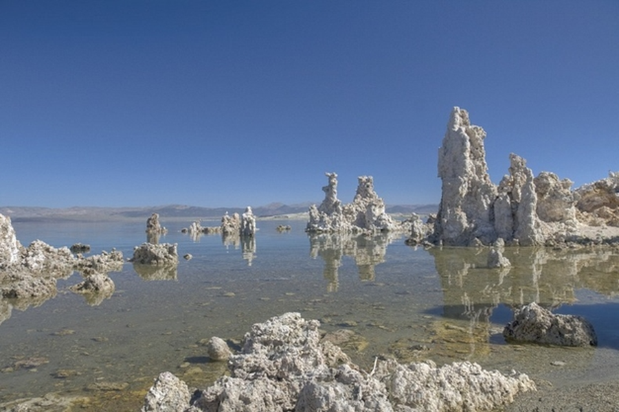 Do có nồng độ muối siêu mặn nên rất ít sinh vật sống dưới nước, vì vậy mặt hồ lúc nào cũng trong xanh và phẳng lặng. Các hạt phân tử sinh ra trong hồ truyền qua không khí cũng trở nên độc hại với môi sống trường xung quanh. Vì thế nơi đây được coi "hoang vu, cô đơn nhất trên trái đất”.