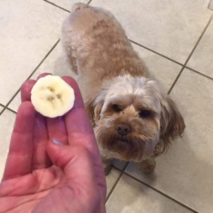 Giat minh truoc nhung vat vo tri ngo nhu co cam xuc