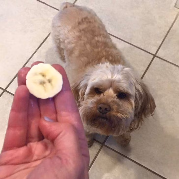 Giat minh truoc nhung vat vo tri ngo nhu co cam xuc