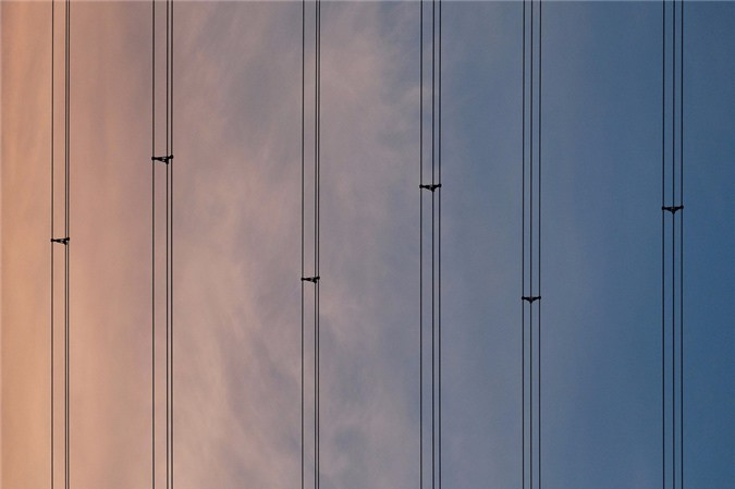 Những đường dây điện cũng trở thành cảm hứng sáng tác của nhiếp ảnh gia 30 tuổi. Anh đặt tên bức ảnh này là "Những đường thẳng song song rồi sẽ gặp nhau ở vô cực". Điều này được anh áp dụng trong cuộc sống thực để luôn nhìn mọi thứ theo con mắt tích cực.