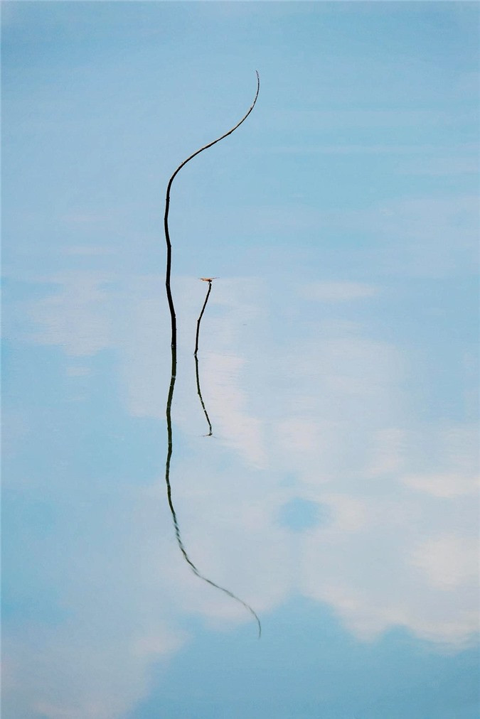 Nhìn khoảnh khắc con chim đậu trên cành cây cao, Thắng Nhật nghĩ về câu chuyện "muốn lên cao phải chịu sự cô đơn". Bức ảnh bên phải lại gợi tới một sự cân bằng ai cũng cần để có một cuộc sống an yên.