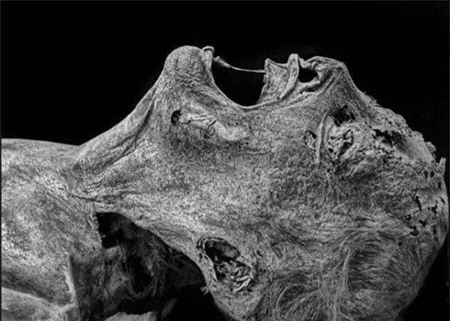 6. Xác ướp ở bang Guanajuato, Mexico: Những xác ướp ở Guanajuato, Mexico được coi là một trong số các xác ướp kỳ lạ và khủng khiếp nhất trên thế giới. Các xác ướp này được chôn tập thể do bệnh dịch tả bùng phát vào năm 1833, ít nhất vài người trong số đó đã bị chôn sống. Một trong những xác ướp điển hình đã bị chôn sống là cô gái tên Ignacia Aguilar. Cô gái này bị mắc một chứng bệnh kỳ lạ, trái tim của cô lúc đập lúc ngưng nhiều lần trong ngày, người thân không biết nên đã đem chôn. 