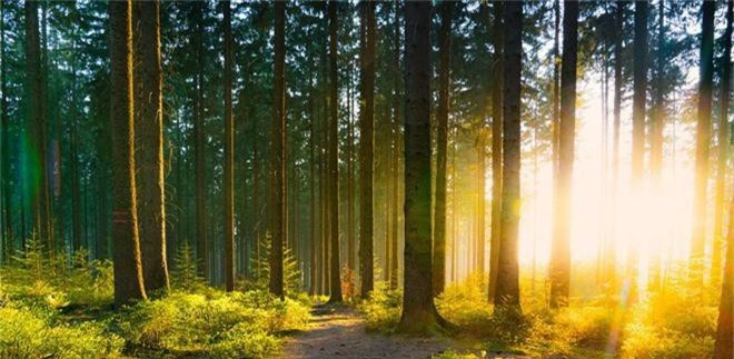 Suốt từ văn học dân gian đến văn học thành văn của Vương quốc Anh, người ta không ngớt ca ngợi hành động hào hiệp, cướp của nhà giàu chia cho người nghèo của nhân vật Robin Hood.