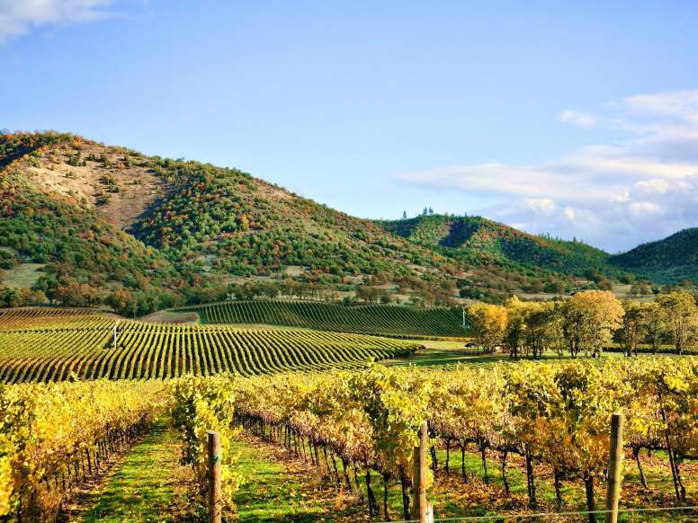 4. Thung lũng Napa, bang California: Napa là cái tên gắn liền với những nhà máy rượu vang và phong cảnh thiên nhiên tuyệt đẹp. Trong phạm vi thung lũng Napa có đến hơn 400 nhà máy rượu vang và phòng nếm thử rượu. Nhờ vào sản phẩm rượu vang với chất lượng xuất sắc và nhiều nhà hàng và spa được nhận sao Michelin, khu vực này đã trở thành một điểm đến nghỉ dưỡng nổi tiếng. 