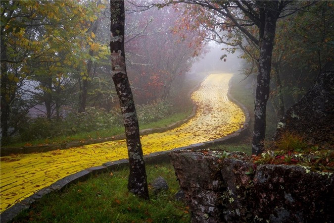 Điểm nhấn độc đáo là con đường gạch vàng dẫn từ nhà Dorothy qua các bối cảnh quen thuộc, cuối cùng tới thành phố Emerald. Sau cái chết của chủ công viên, ông Grover Robbins, lượng khách tới công viên giảm dần và một vụ hỏa hoạn đã phá hủy các hiện vật ở thành phố Emerald. Ảnh: Business Insider.