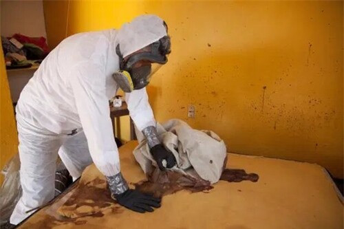 Tiết lộ gây sốc về công việc dọn dẹp hiện trường án mạng ảnh 3 Tiết lộ gây sốc về công việc dọn dẹp hiện trường án mạng ảnh 3