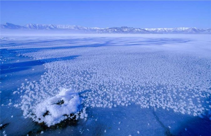 Hoa sương giá thường xuất hiện khi nhiệt độ mặt nước dưới băng ấm hơn nhiệt độ trong không khí. Hiện tượng thời tiết này phổ biến ở các vùng cực, tuy nhiên, bạn cũng có thể quan sát được ở các hồ nước tại Hokkaido, Nhật Bản vào mùa đông.