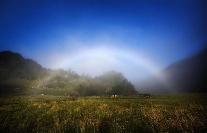 Giống như cầu vồng bình thường nhưng cầu vồng trắng, hay cầu vồng sương xuất hiện trong sương thay vì sau cơn mưa. Do kích thước của những giọt nước rất nhỏ nên những màu sắc nhạt đến nỗi chúng gần như là màu trắng. Cầu vồng trắng thường được trông thấy ở những ngọn núi của Romania, thác nước Yosemite tại California, Mỹ khi tuyết tan chảy cũng như trong những khu rừng ở Costa Rica từ cuối tháng 12 - đầu tháng 2.
