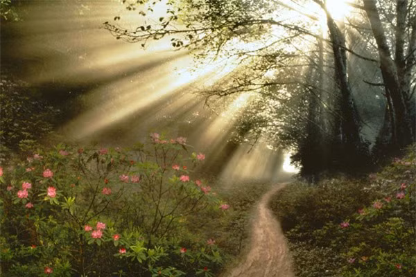  Theo truyền thuyết, ma cà rồng không thể tiếp xúc với ánh nắng mặt trời nên chúng thường ở trong quan tài đến đêm tối rồi mới xuất hiện. Nếu đi lại dưới ánh nắng mặt trời thì ma cà rồng sẽ bị thiêu đốt và tan biến thành cát bụi.