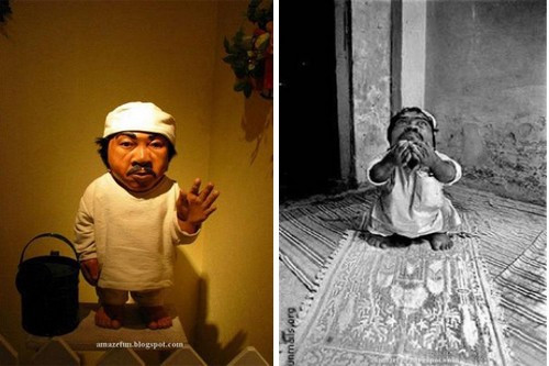 ##sc### 2. Gul Mohammed - 57 cm. 