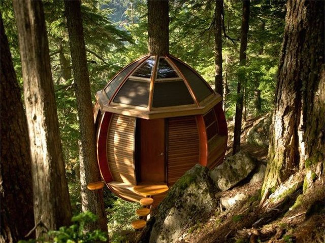 ##sc### Một ngôi nhà trên cây khác được nhà phát triển phần mềm Joel Allen, 26 tuổi, xây dựng ở Whistler, Canada. Thiết kế của công trình có vẻ vững chắc và kiên cố hơn những ngôi nhà trên cây thường thấy. (Nguồn: Joel Allen) 