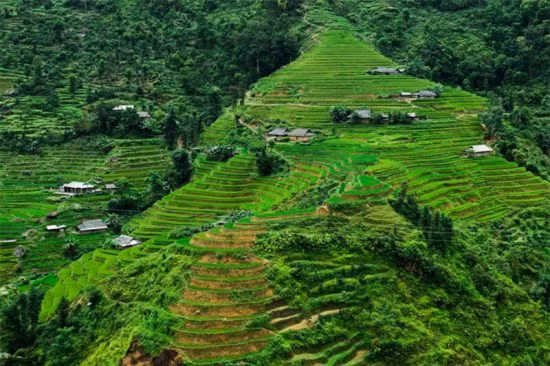 Ruộng bậc thang Hoàng Su Phì, Hà Giang.