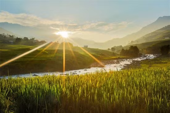 Ruộng bậc thang ở Sapa.