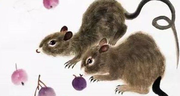 3 con giáp đen tận mạng trong tháng 4 âm, làm ăn bết bát 3 con giap den tan mang trong thang 4 am, lam an bet bat