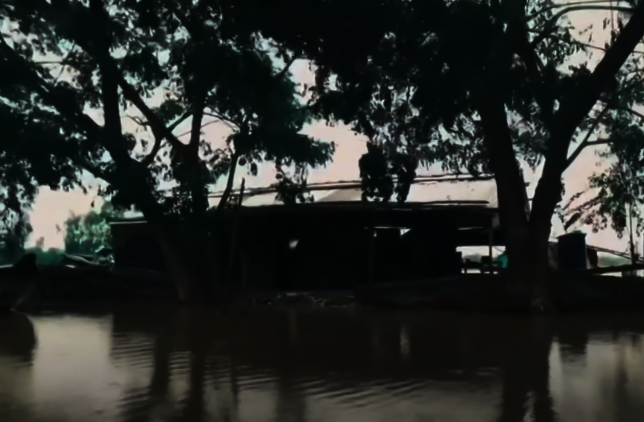 Nghe lời nhiều người mách bảo, đợi đến khi bóng đêm phủ xuống vùng Đồng Tháp Mười tối như mực, Phương chèo ghe tìm nhà thầy Hai Tưng. Trước khi đến nhà thầy Tưng xin bùa, cô chỉ kịp vội nói úp mở với gia đình vài câu rồi đi. Từ đó, Phương mất tăm và mãi mãi không trở về. Đã gần 2 tháng, gia đình thấy cô gái đi quá lâu nhưng chẳng có tin tức và mọi người đổ xô chia làm nhiều hướng để đi tìm.