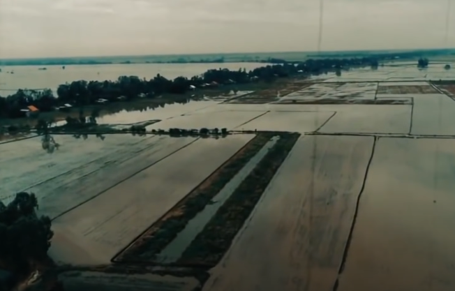 Những lần về thăm nhà, cô mang về tiền bạc rủng rỉnh trong túi càng làm cho người chồng trở nên sinh lòng ghen tuông. Nhưng với cô ta, người chồng như quấy rầy và cảm thấy khó chịu. Vậy là, cô gái ấy nhất định tìm cách cho người chồng quên hẳn mình đi để yên thân làm ăn xa quê. Một lần về nhà, tình cờ nghe mọi người đồn đại về ông thầy Hai Tưng, dù chưa biết hay dở thế nào, cô đánh liều đến nhà thầy Tưng để xin bùa.