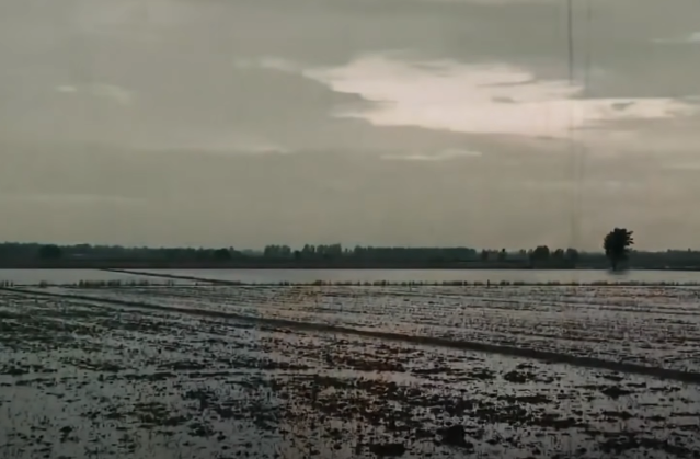 Đêm cuối tháng 5/2000, một cô gái trẻ đến nhà thầy Hai Tưng để xin bùa trị ông chồng. Nguyên cớ xuất phát từ việc cô đi làm ăn xa nhà, người chồng hay gọi điện thoại bắt cô gái phải về vì cứ nhớ nhung hoài. Ở Sài Gòn nhiều năm, cô gái có nước da rám phèn bỗng chốc trở nên trắng trẻo, hồng hào.