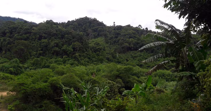 Khi mọi người vừa chạy đến nơi, ai nấy đều bàng hoàng khi biết người đàn ông nằm trên vũng máu chính là anh Lường Văn Q. (SN 1968, trú tại Phiên Mựt, Mường Giôn, Quỳnh Nhai), Công an viên của xã. Mọi người nhanh chóng đưa anh Q. đến cấp cứu tại trạm Y tế xã Mường Giôn, sau đó chuyển lên bệnh viện đa khoa huyện Quỳnh Nhai nhưng do vết thương quá nặng, anh Q. đã tử vong. (Ảnh minh họa)