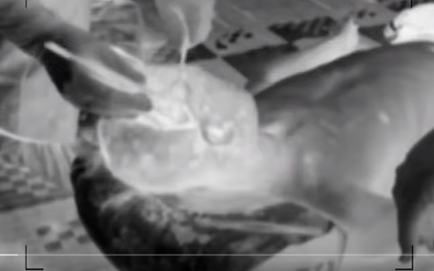 Kết quả khám nghiệm cho thấy, vùng đầu, mặt dính nhiều máu khô, mắt phải bầm tím xung quanh, nửa đầu ngoài vùng má có nhiều lỗ thủng từ ngoài vào trong tổng số là 75 lỗ.... nơi anh Q. bị bắn chết cách bản Phiên Mựt 1km về phía Bắc, trên con đường mòn đi lại của dân.