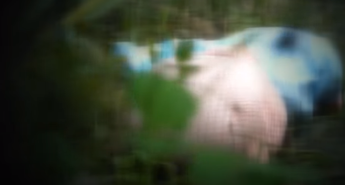 Ngay sau đó, nạn nhân được xác định là cháu Nguyễn Sương S., sinh 2014, là con trai anh Nguyễn Phồn Tiến, sinh 1981 và chị Phạm Thị Hương, sinh 1982, cùng ở thôn Tống Xá, xã Thái Thịnh.