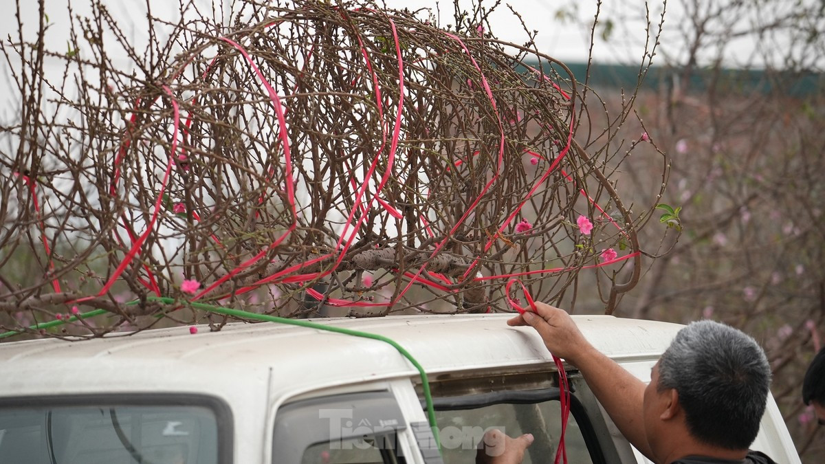 Dao Nhat Tan khoe sac ruc ro, gia tang cao nhung van hut khach-Hinh-8
