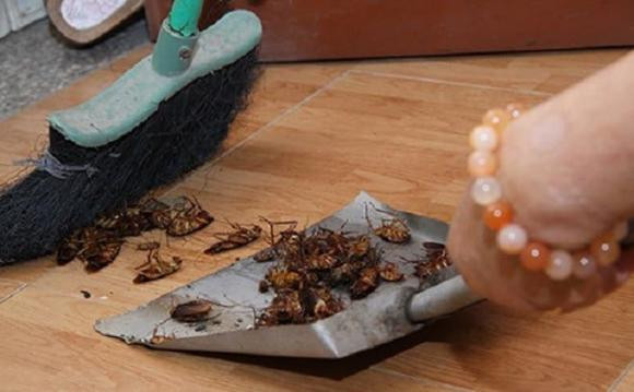 Com nguoi dung do di, tron voi thu nay duoi gian hieu qua-Hinh-2