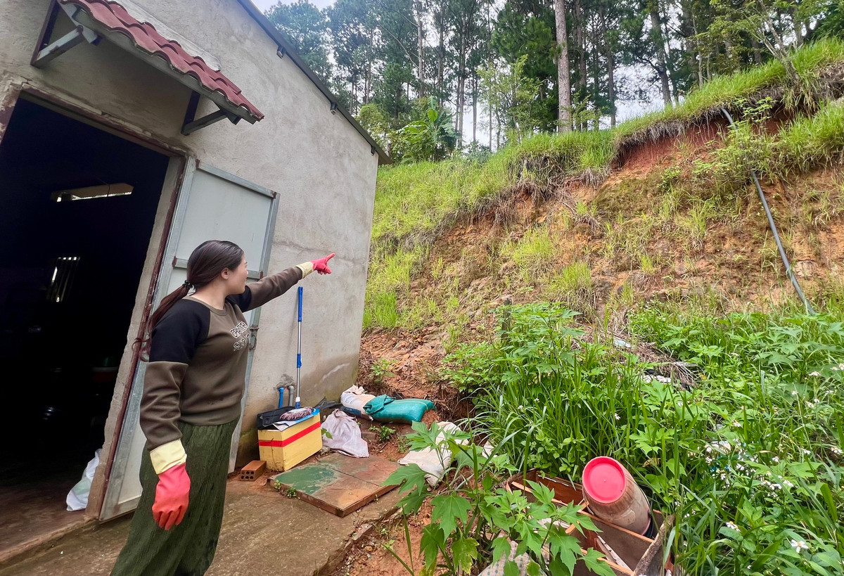 Do mưa lớn, nhiều ngày nay, một lượng nước kèm đất đá từ khu rừng sản xuất đã trôi xuống nhiều nhà dân ở thôn Bắc Hội. Vụ việc khiến nhiều người dân thấp thỏm, lo sợ.