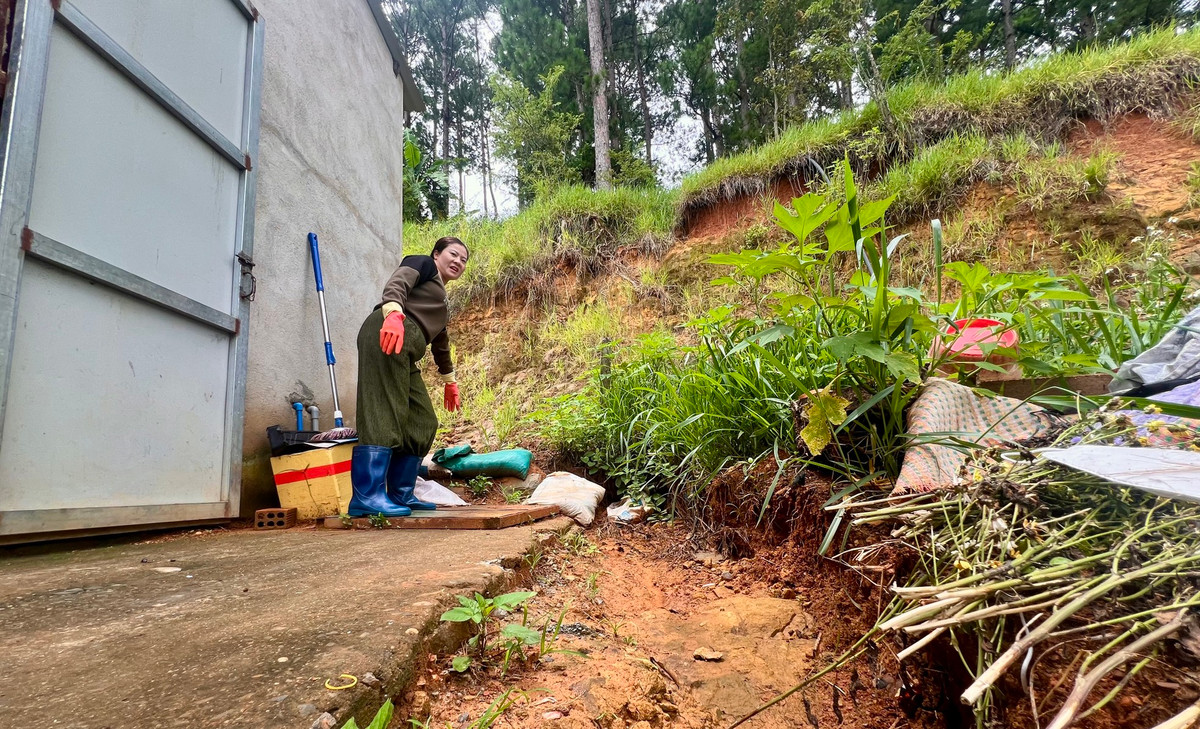 Chị Từ Thị Hạnh (39 tuổi) - hộ dân sống dưới khu vực đồi thông thuộc lâm phần BQL rừng phòng hộ Đại Ninh quản lý cho biết, nhiều ngày trước có mưa lớn, một lượng đất đá từ khu vực đồi thông đã trôi xuống phía sau nhà của gia đình. Chị phải dùng nhiều bao tải cát để ngăn nước kèm đất đá trôi vào nhà.