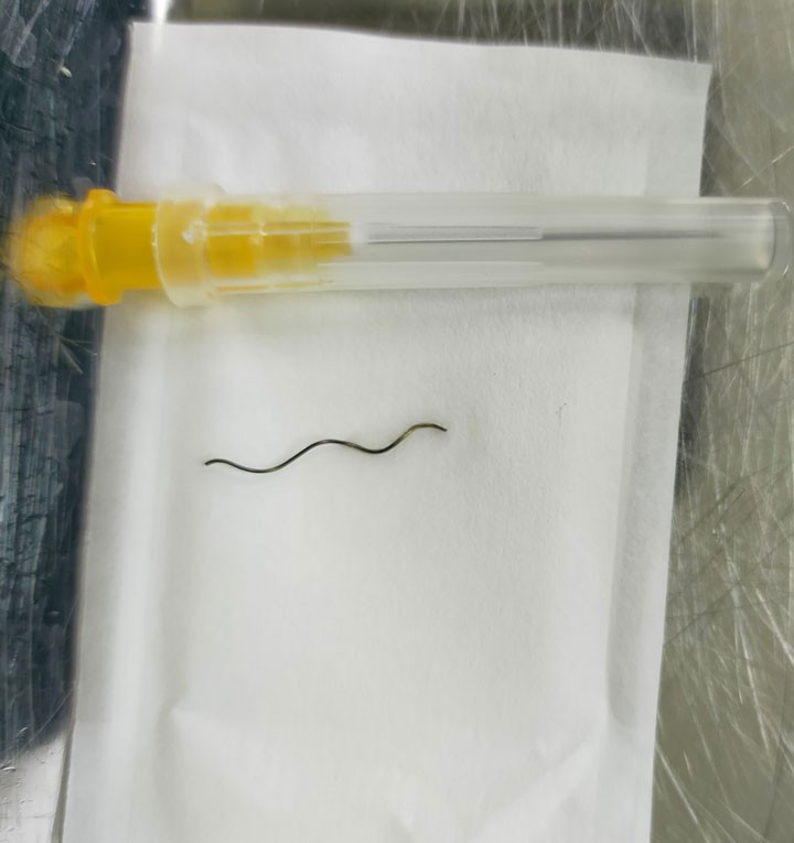 Dây thép được lấy ra - Ảnh BSCC