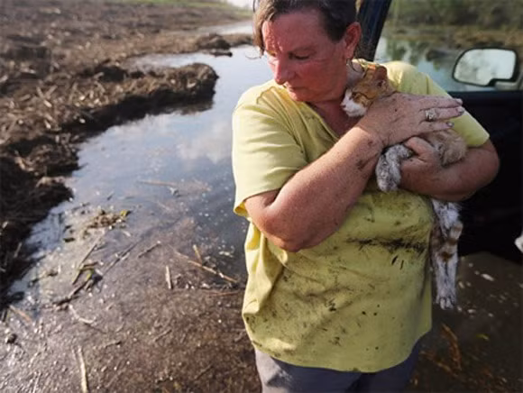 Người phụ nữ 5 lần mất nhà do bão tấn công: Cô Melanie Martinez đã mất 4 ngôi nhà trong vòng 50 năm qua do các cơn bão Betsy (1965), Juan (1985), George (1998) và Katrina (2005). Tuy nhiên cô vẫn tỏ ra khá do dự khi rời thành phố quê nhà Lousiana vì theo cô, đó là quê hương của mình và cô vẫn sẽ gắn bó với nó dù có chuyện gì xảy ra.