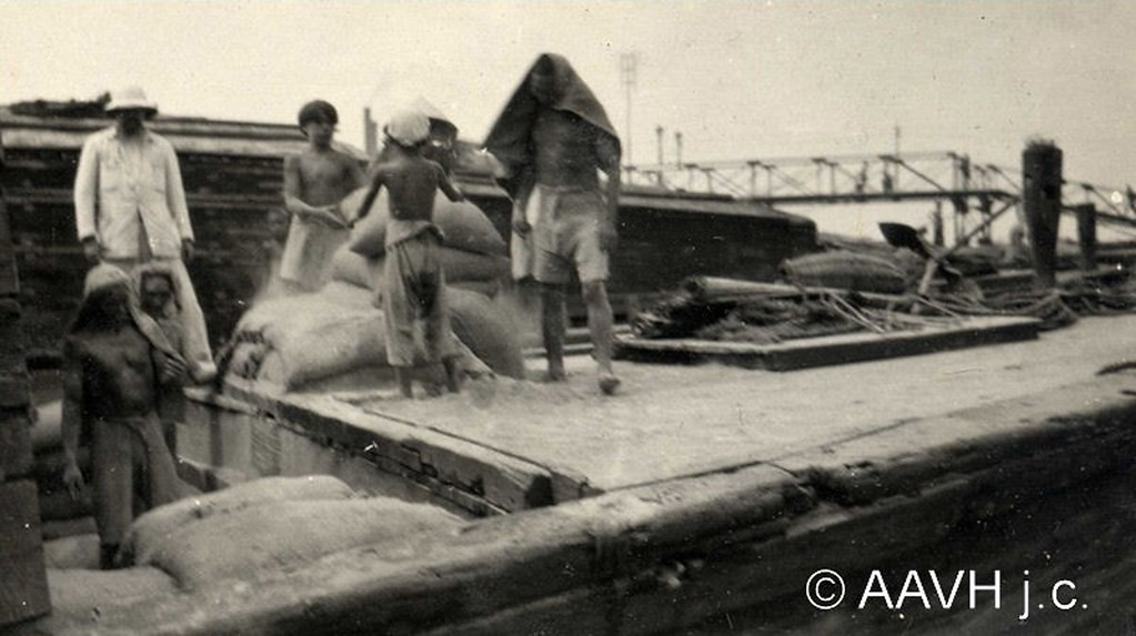 Cu-li làm công việc bốc vác lúa gạo tại Chợ Lớn năm 1925.