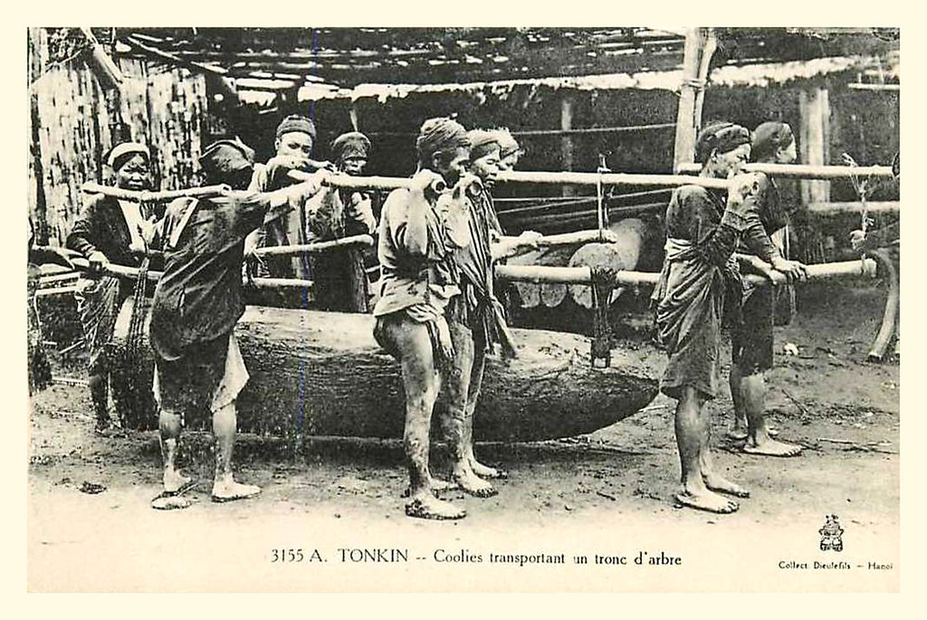 Những người làm nghề cu-li khiêng một khúc gỗ lớn, xứ Bắc Kỳ, Việt Nam thời thuộc địa.