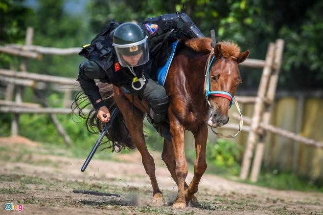 Động tác đổ nhào nhặt đồ vật đòi hỏi chiến sĩ CSCĐ phải khéo léo, chính xác và nhanh nhạy để có thể vừa điều khiển ngựa phi nước đại vừa nhặt công cụ hỗ trợ để sẵn trên mặt đất. Những ngày đầu mới tập luyện các chiến sĩ liên tục bị ngã nhưng đến nay ngựa đã quen với việc phối hợp, mọi việc thuận lợi hơn.