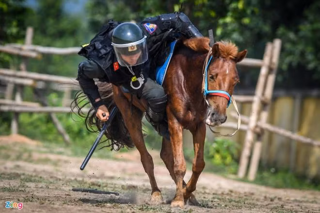 Động tác đổ nhào nhặt đồ vật đòi hỏi chiến sĩ CSCĐ phải khéo léo, chính xác và nhanh nhạy để có thể vừa điều khiển ngựa phi nước đại vừa nhặt công cụ hỗ trợ để sẵn trên mặt đất. Những ngày đầu mới tập luyện các chiến sĩ liên tục bị ngã nhưng đến nay ngựa đã quen với việc phối hợp, mọi việc thuận lợi hơn.