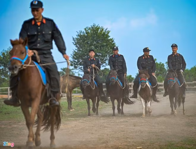 Mỗi chiến sĩ được giao cho một con ngựa, tự chăm sóc, nuôi dưỡng và huấn luyện. Đối với các chiến sĩ CSCĐ kỵ binh, ngựa không chỉ là vật nuôi nghiệp vụ mà còn là "người anh em 4 chân" đồng hành cùng họ trong suốt quá trình công tác.