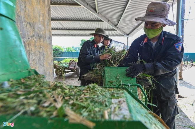 Thức ăn của ngựa gồm có 3 loại: thức ăn thô, tinh bột và cỏ tươi. Các chiến sĩ CSCĐ ngoài việc chăm sóc ngựa còn trực tiếp chuẩn bị bữa ăn cho cả đàn.