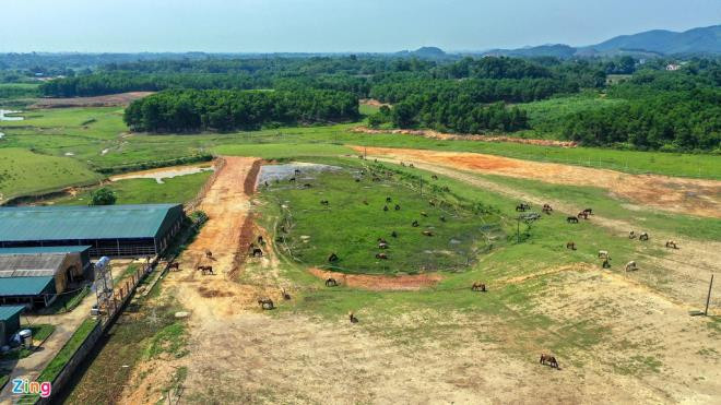 Đại bản doanh của Đoàn CSCĐ kỵ binh tại một trại ngựa ở TP Sông Công (tỉnh Thái Nguyên). Đây là nơi hơn 70 chiến mã được các chiến sĩ CSCĐ thuần hóa, luyện tập hàng ngày.