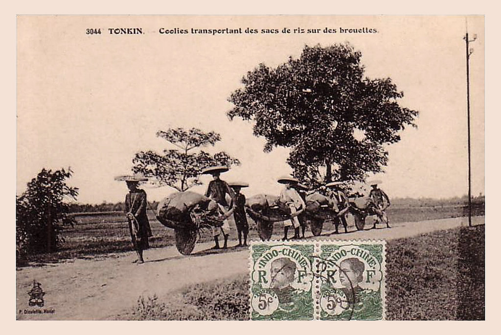 Vận chuyển gạo bằng xe rùa trên đường cái.