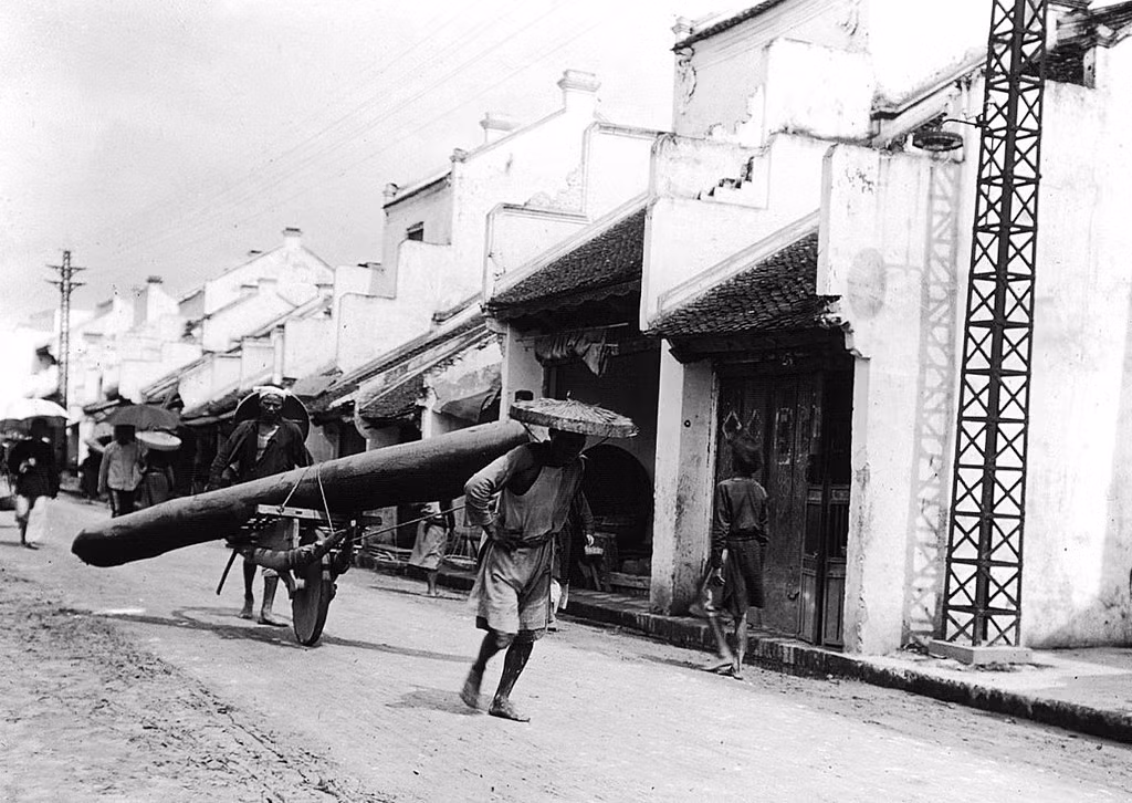 Vận chuyển gỗ bằng xe rùa trên đường phố Hà Nội, 1896. Xe cố kết cấu rất chắc, có thể chở hàng tạ hàng hóa.